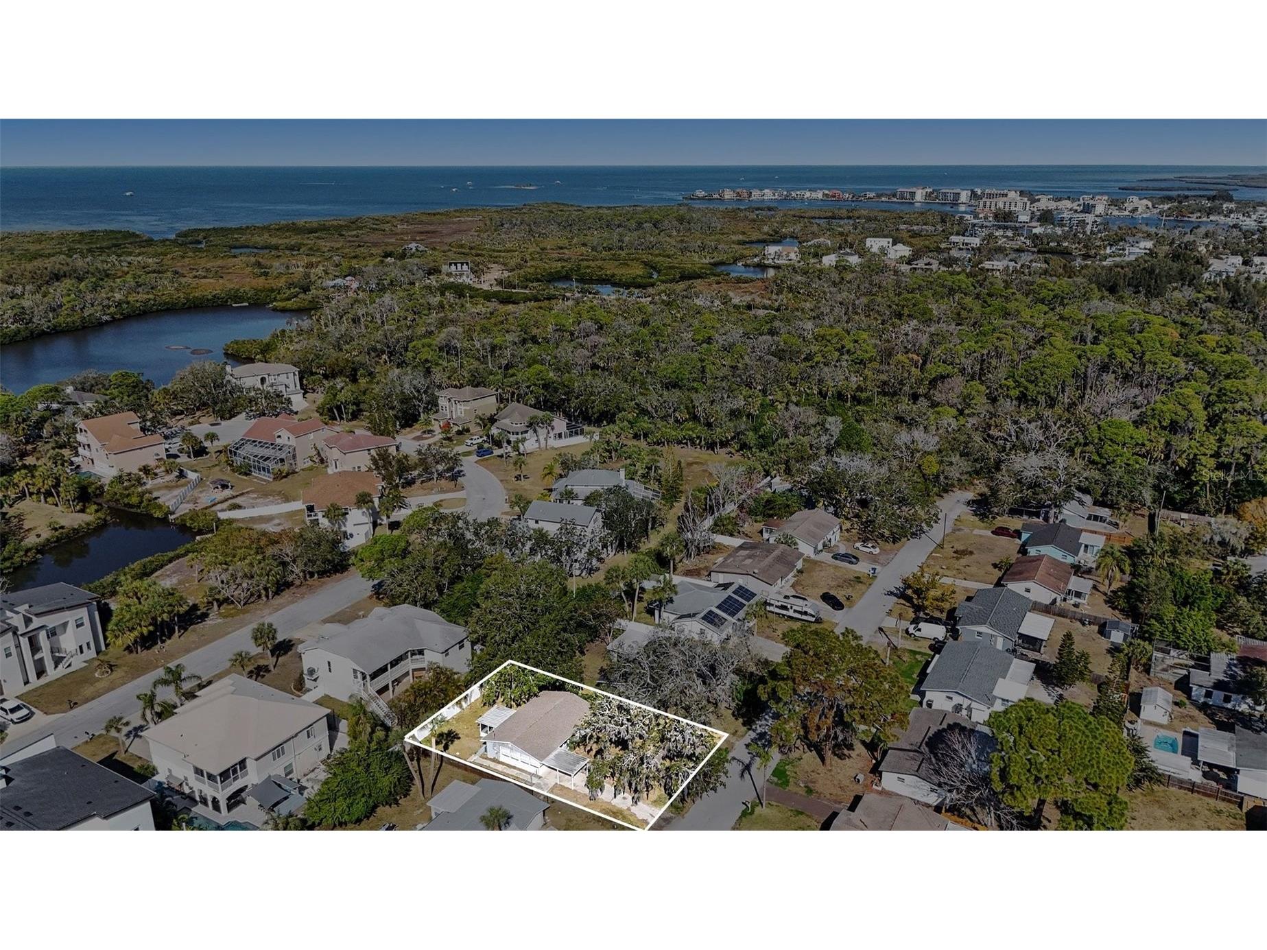 7253 Dianne Drive New Port Richey FL 34652 O6385363 image23