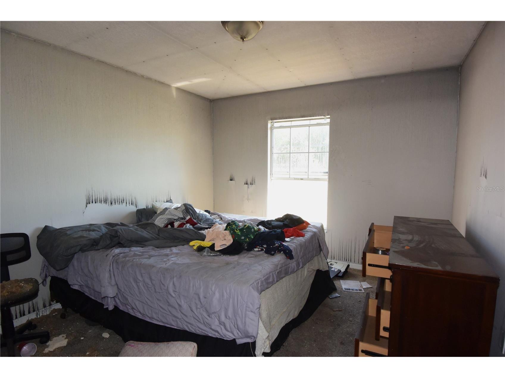 7253 Lamplighter Street Spring Hill FL 34606 W7884173 image17
