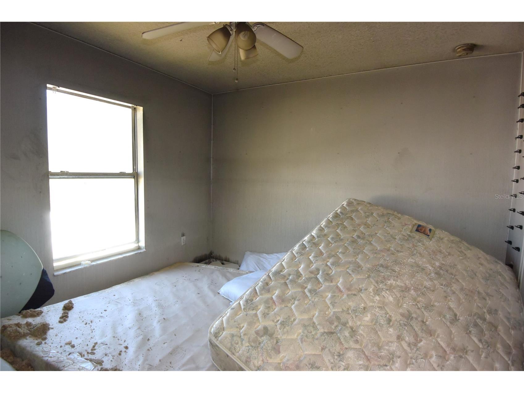 7253 Lamplighter Street Spring Hill FL 34606 W7884173 image19
