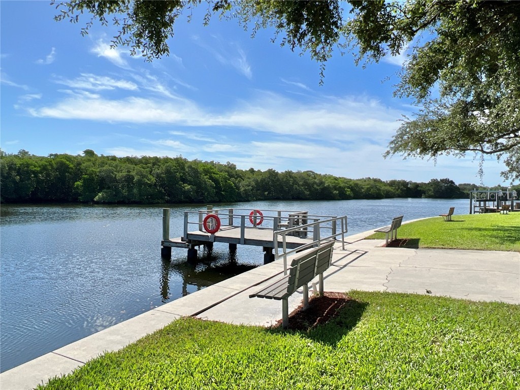 7254 Mount Fairfield Road NE #531 Saint Petersburg FL 33702 TB8367992 image19