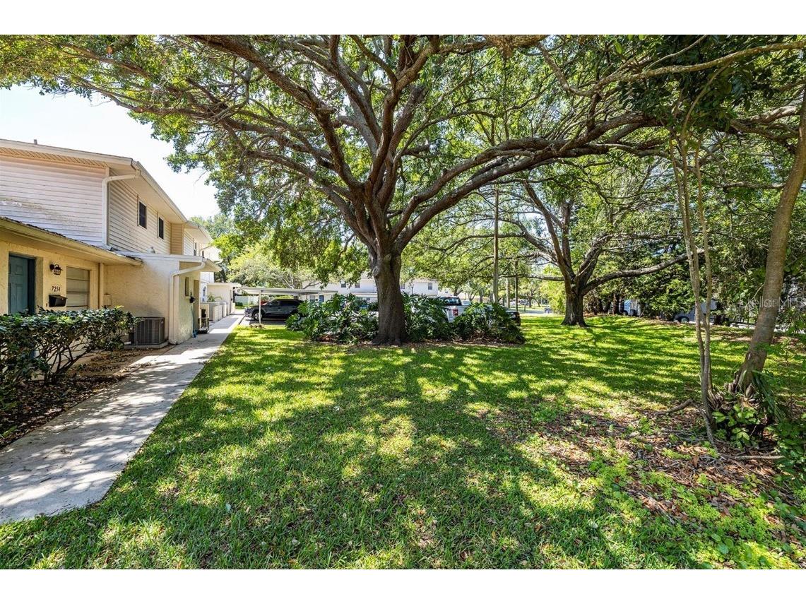 7256 Moffatt Lane N Pinellas Park FL 33781 TB8500588 image23