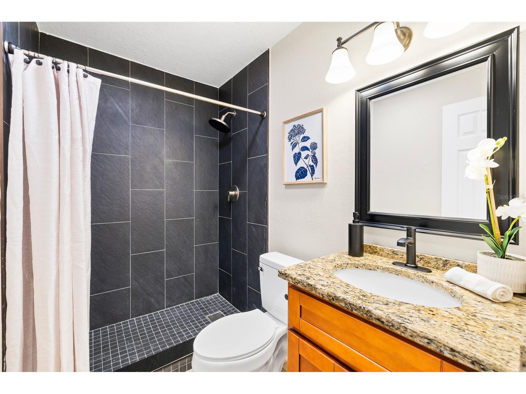 7256 Moffatt Lane N Pinellas Park FL 33781 TB8500588 image7
