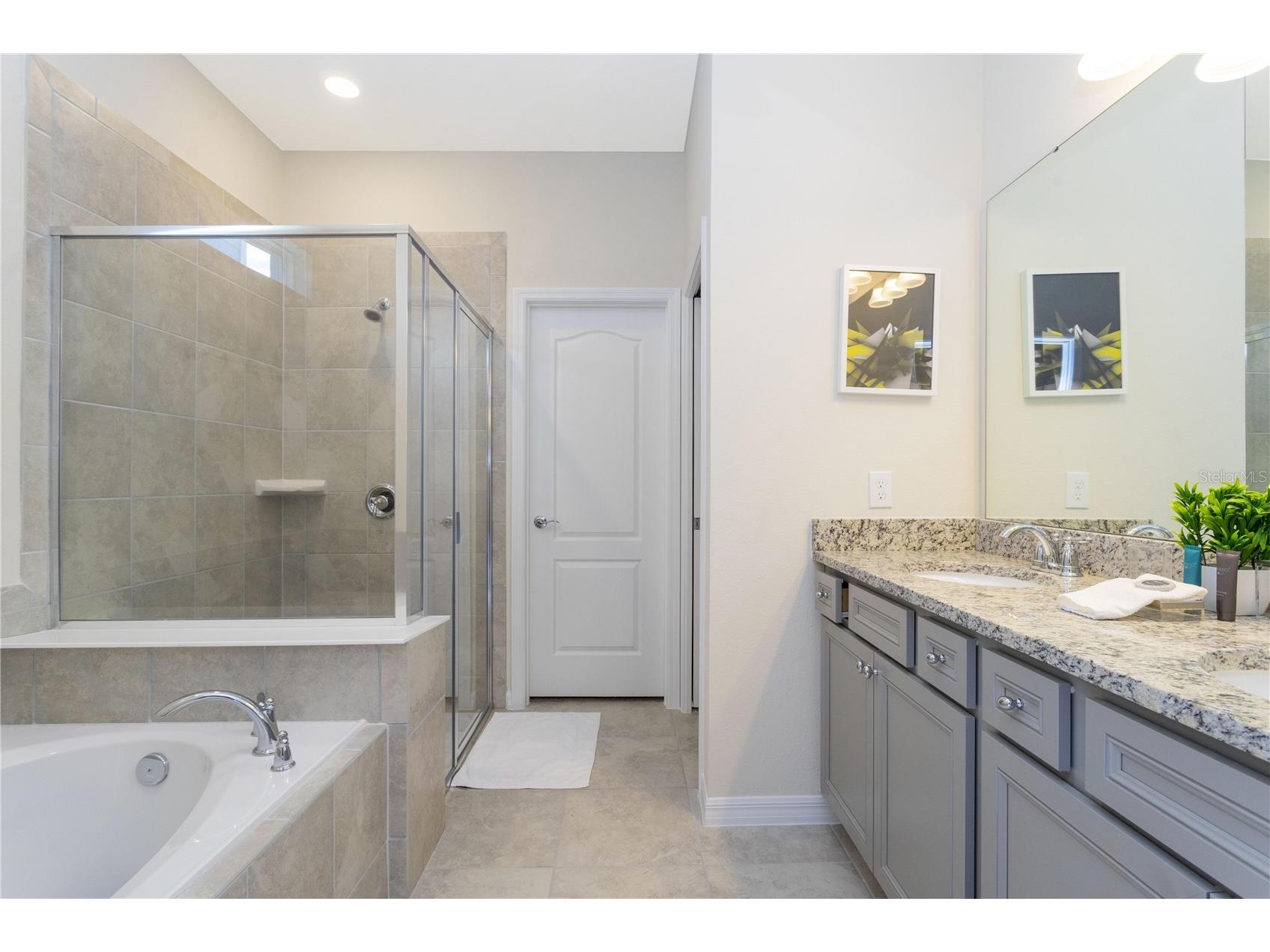 7256 Oakmoss Loop Davenport FL 33837 O6394137 image17
