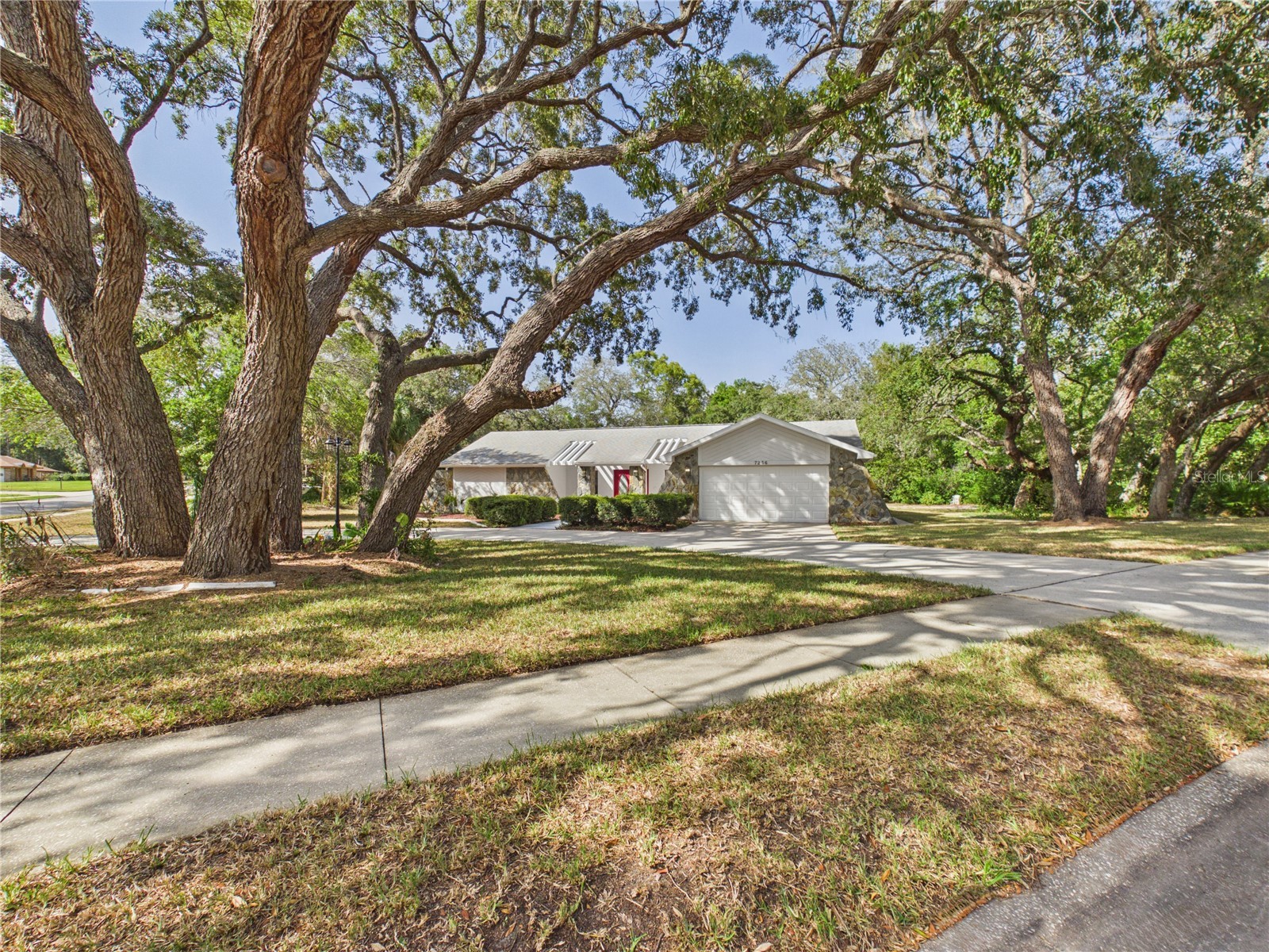 7256 Royal Oak Drive Spring Hill FL 34607 OM728660 image2