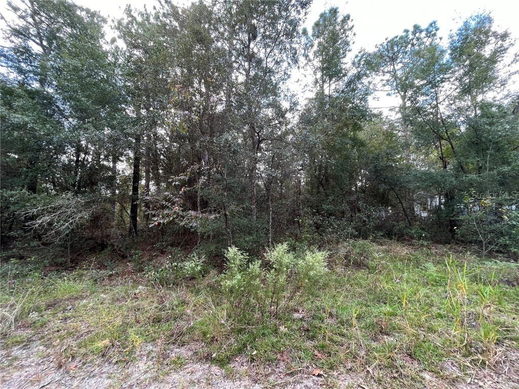 7259 Davidson Street Keystone Heights FL 32656 OK221947 image1