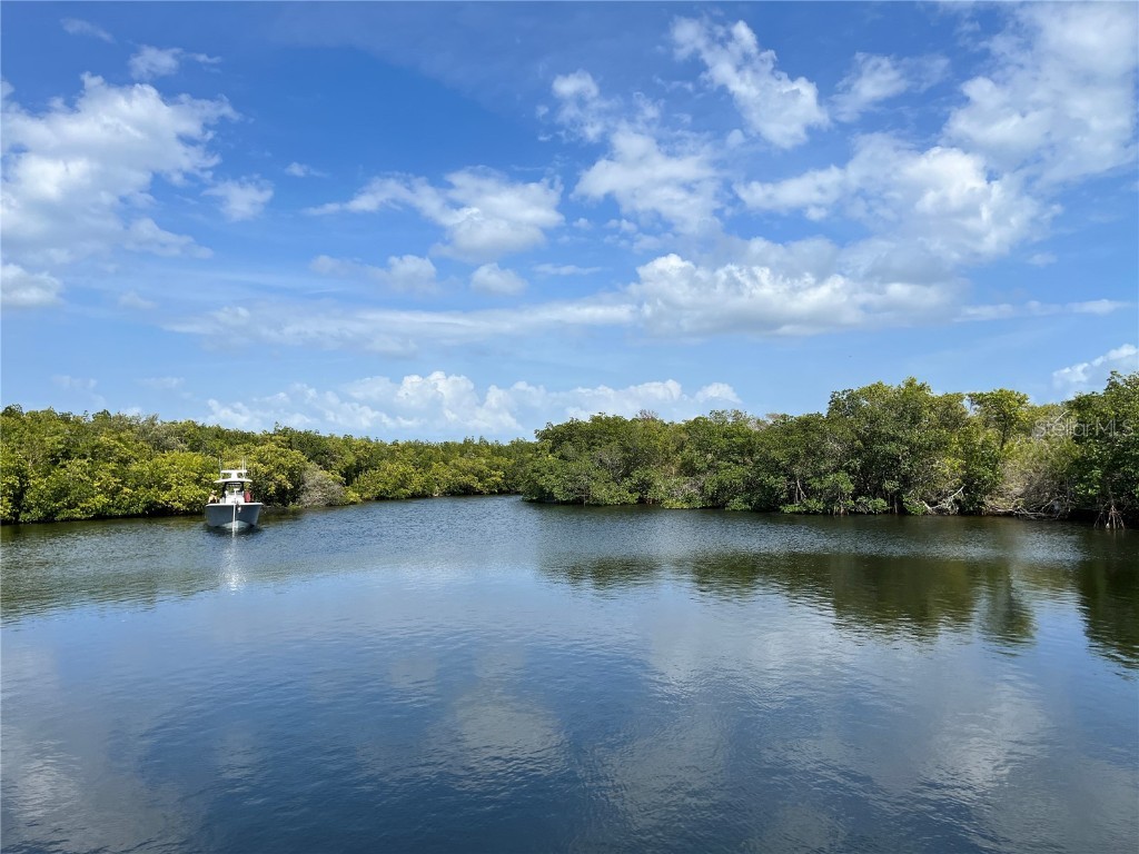 7259 Mount Piney Road NE #710 Saint Petersburg FL 33702 U8193600 image1