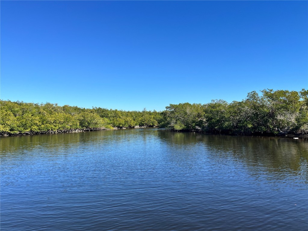 7259 Mount Piney Road NE #710 Saint Petersburg FL 33702 TB8328484 image1