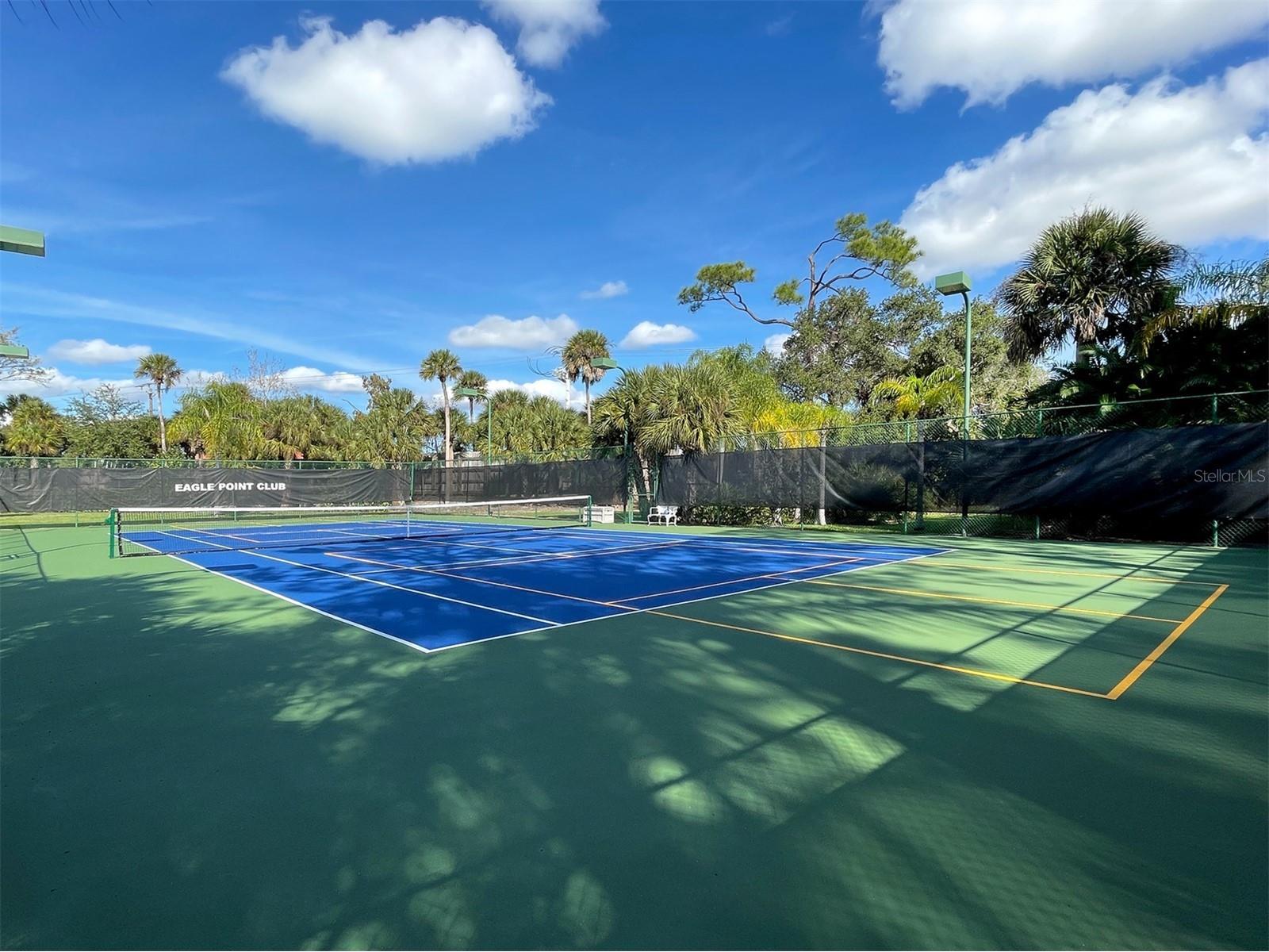 726 Eagle Point Drive Venice FL 34285 - ROBERTS BAY N6139850 image51