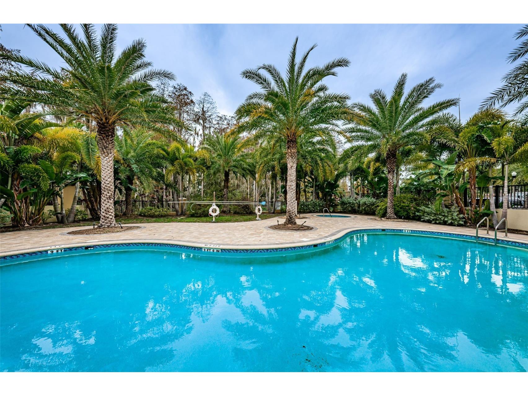 726 Grand Cypress Lane Tarpon Springs FL 34689 TB8526131 image49