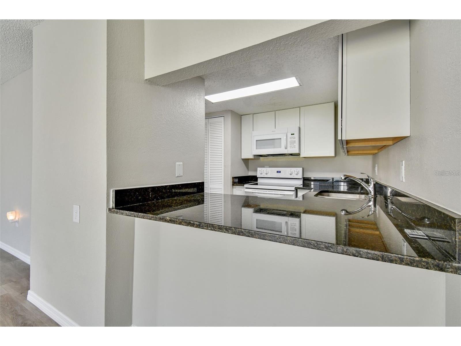 726 Haven Place #726 Tarpon Springs FL 34689 TB8530134 image8