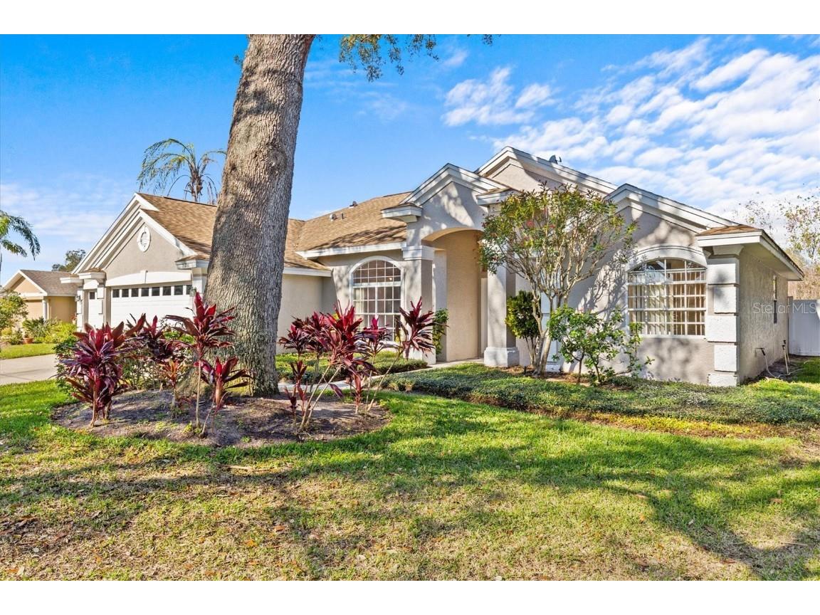 726 Hidden Lake Drive Tarpon Springs FL 34689 TB8355862 image1