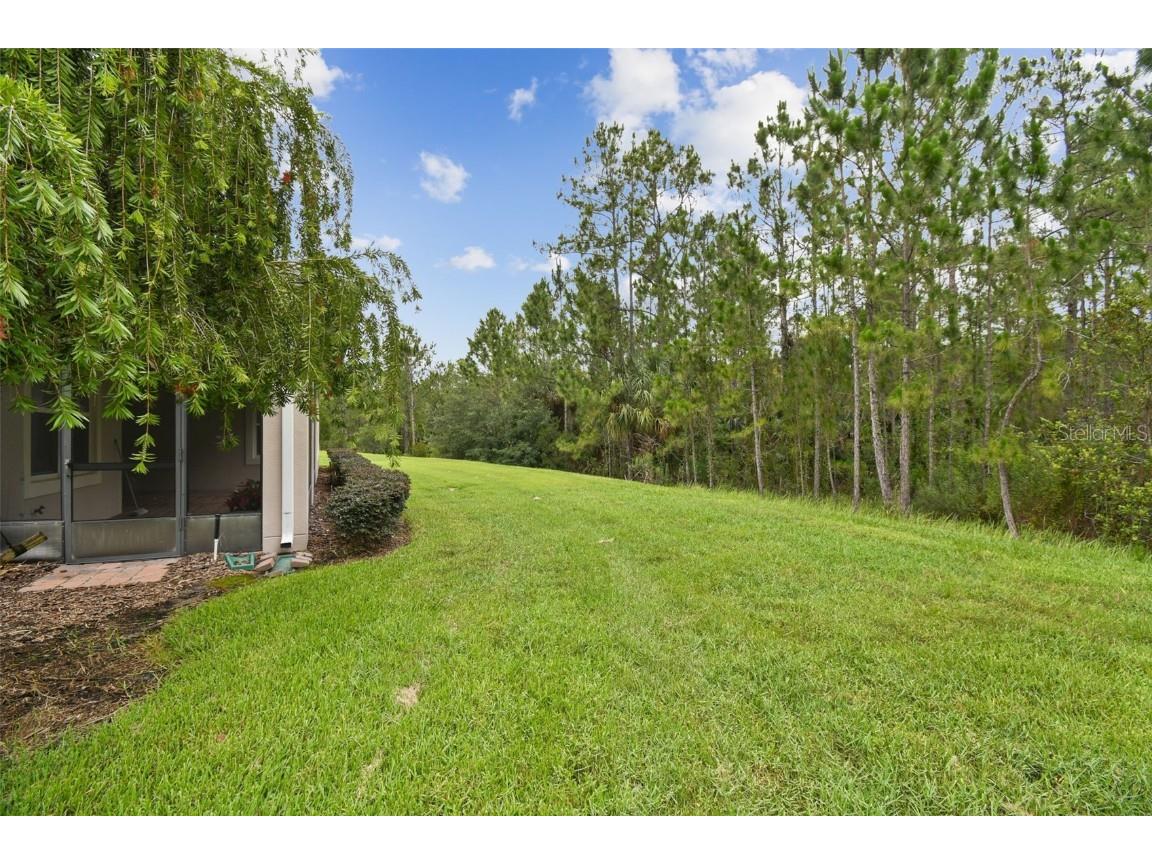 726 Irvine Ranch Road Kissimmee FL 34759 S5128034 image35