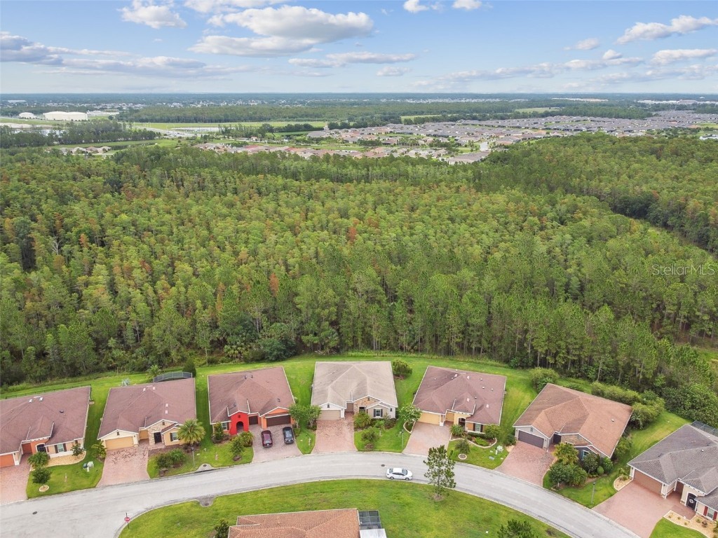 726 Irvine Ranch Road Kissimmee FL 34759 S5128034 image41