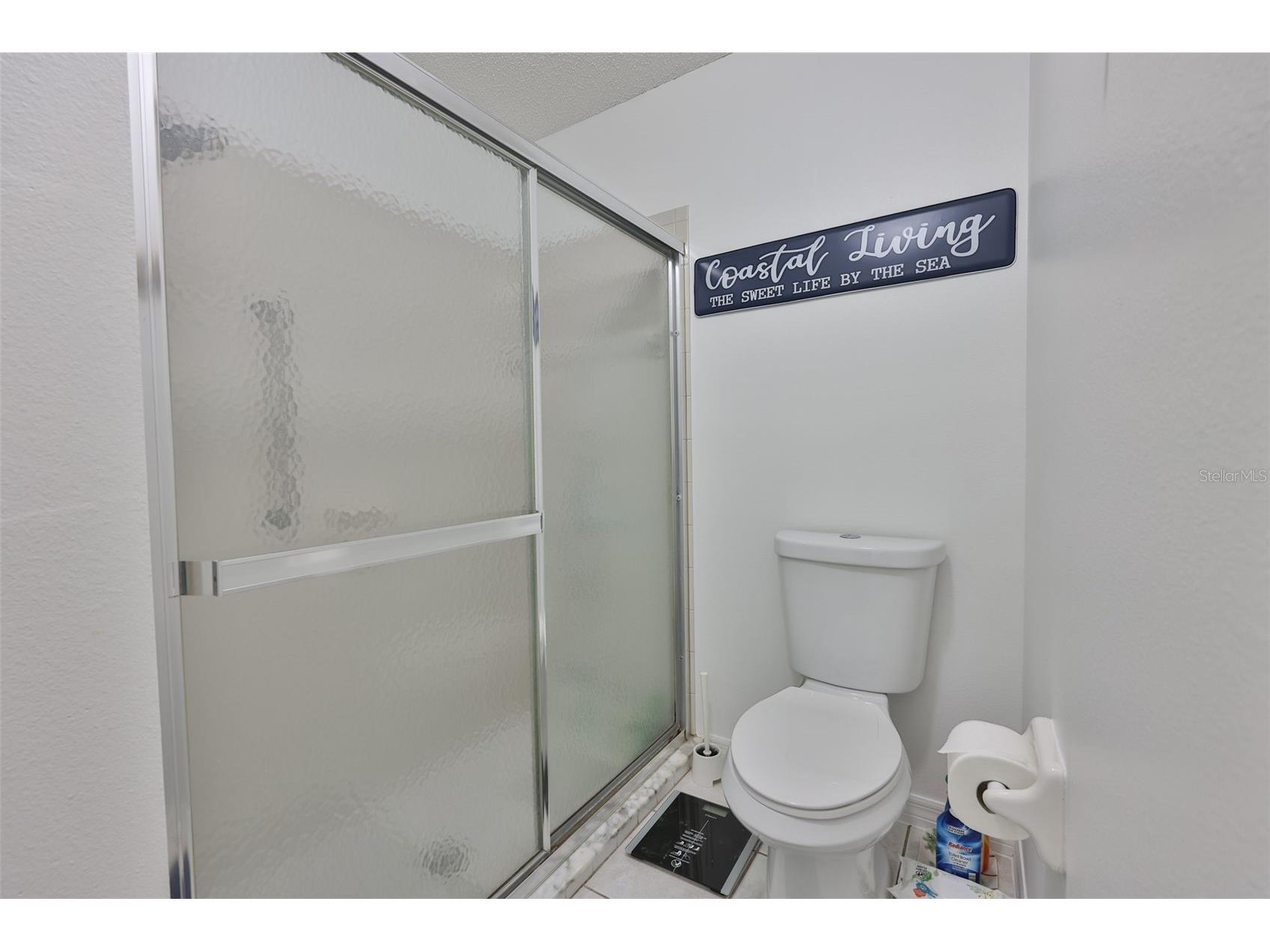 726 Masterpiece Drive #244 Sun City Center FL 33573 TB8468085 image28