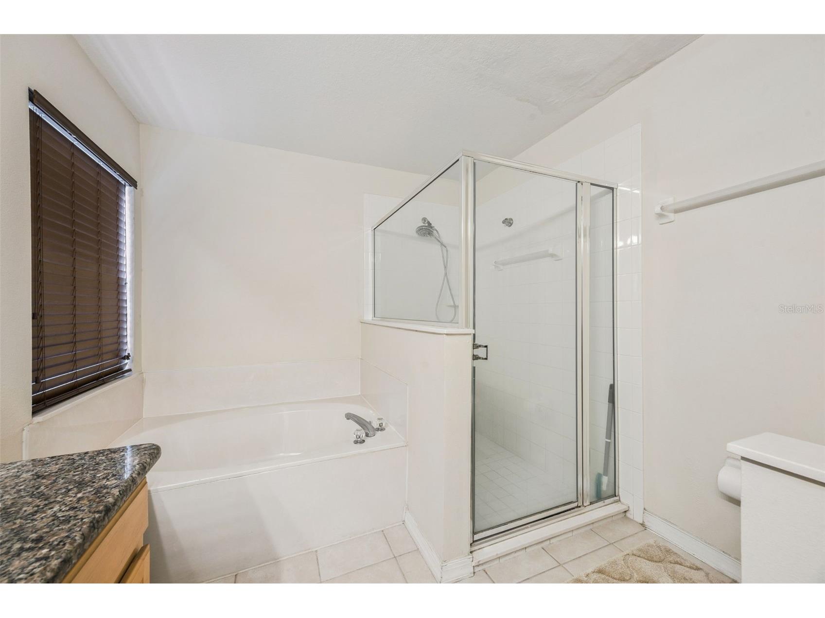 726 Oxford Drive Davenport FL 33897 O6417236 image25
