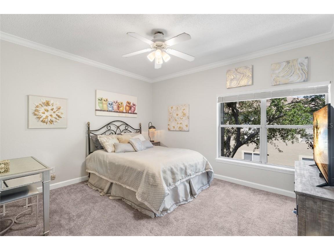 726 Seagate Drive #726 Tampa FL 33602 TB8457216 image11