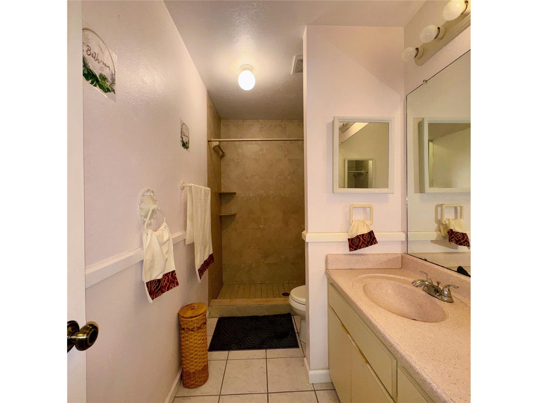 726 Stillview Circle Brandon FL 33510 TB8521136 image25