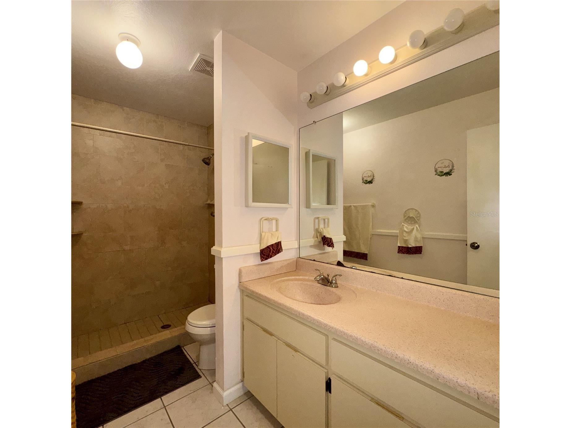726 Stillview Circle Brandon FL 33510 TB8521136 image26