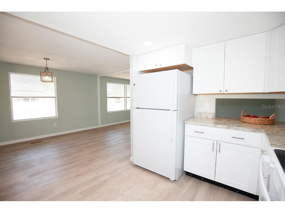 726 Viking Avenue Tavares FL 32778 O6293357 image5