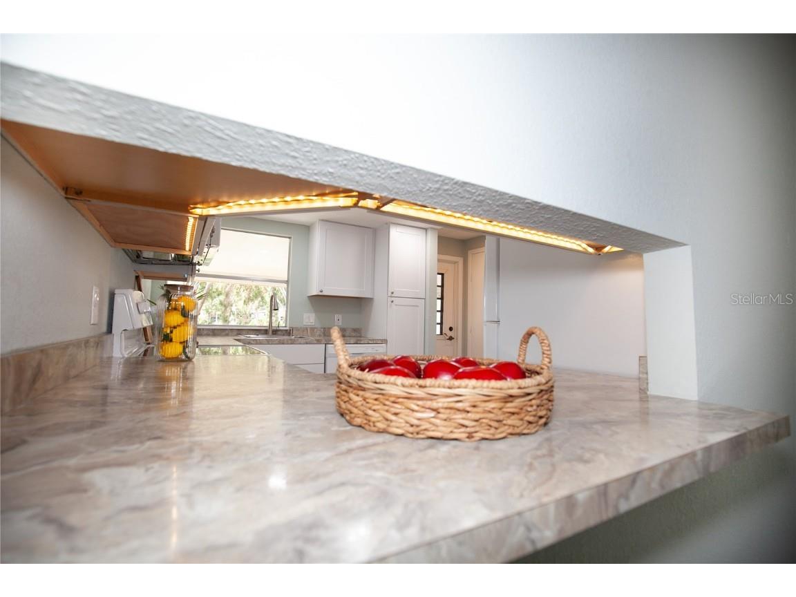 726 Viking Avenue Tavares FL 32778 O6293357 image6