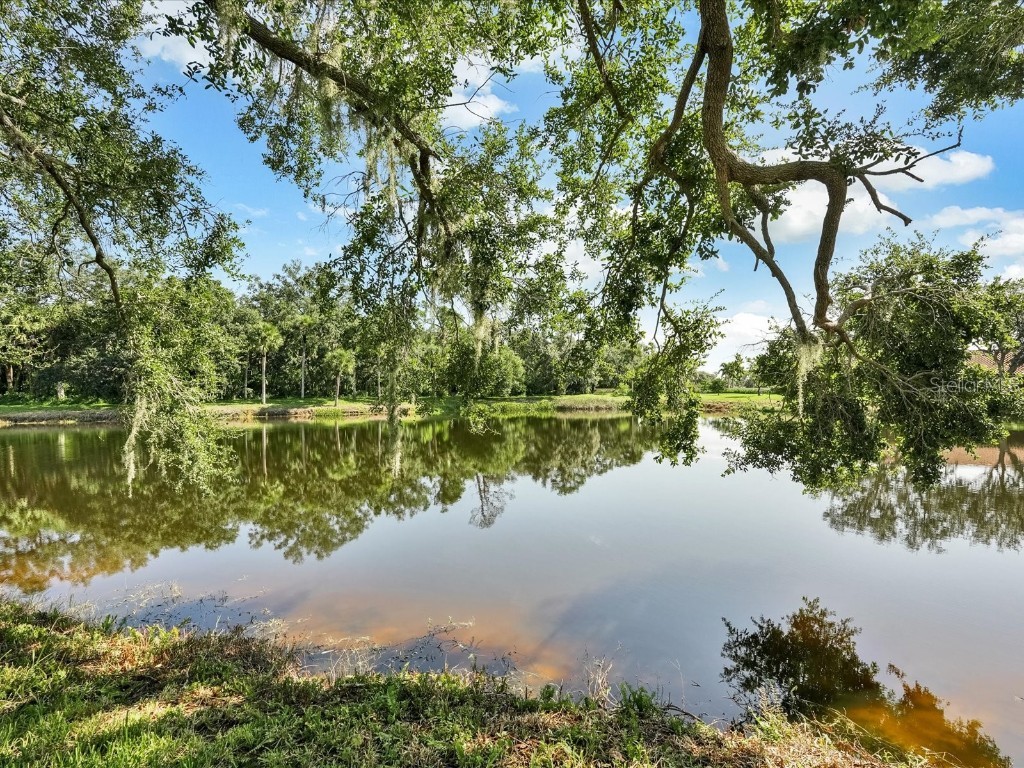 7261 Golf Pointe Way Way Sarasota FL 34243 A4658751 image18