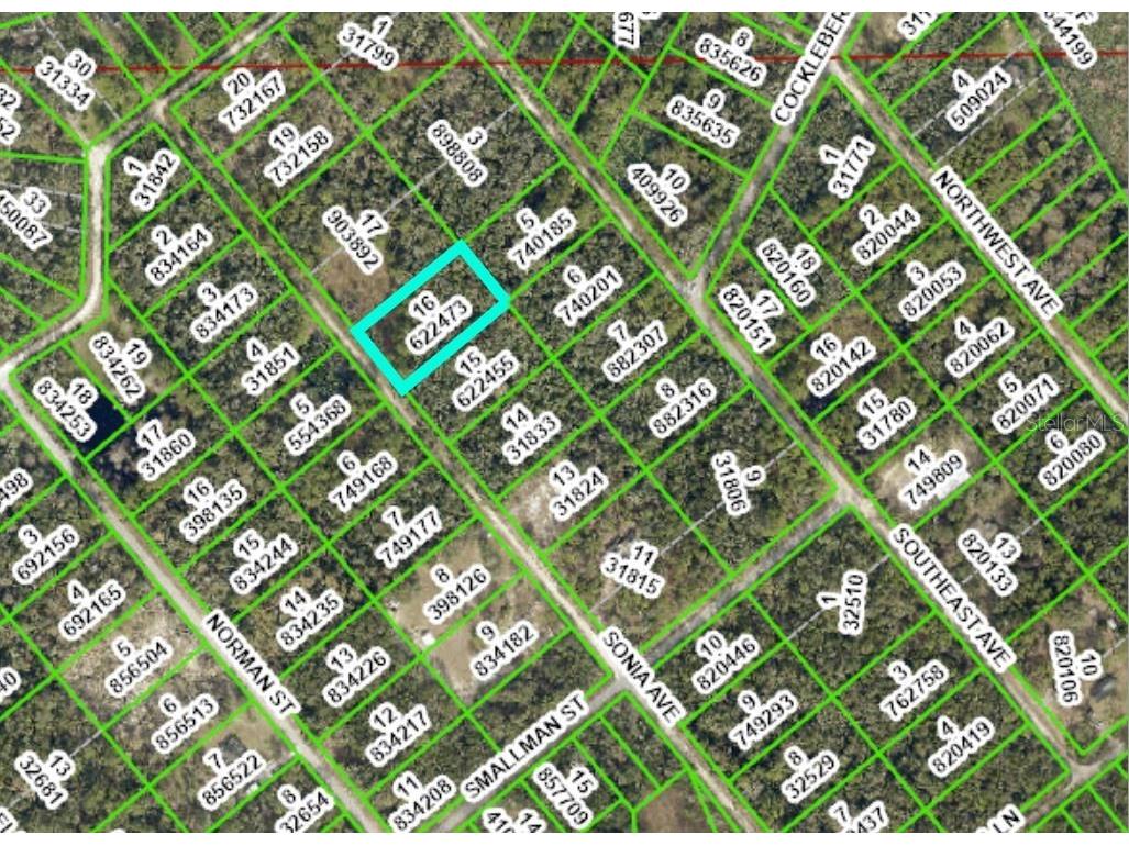 7262 Sonia Avenue Ridge Manor Estates FL 33597 W7859256 image1