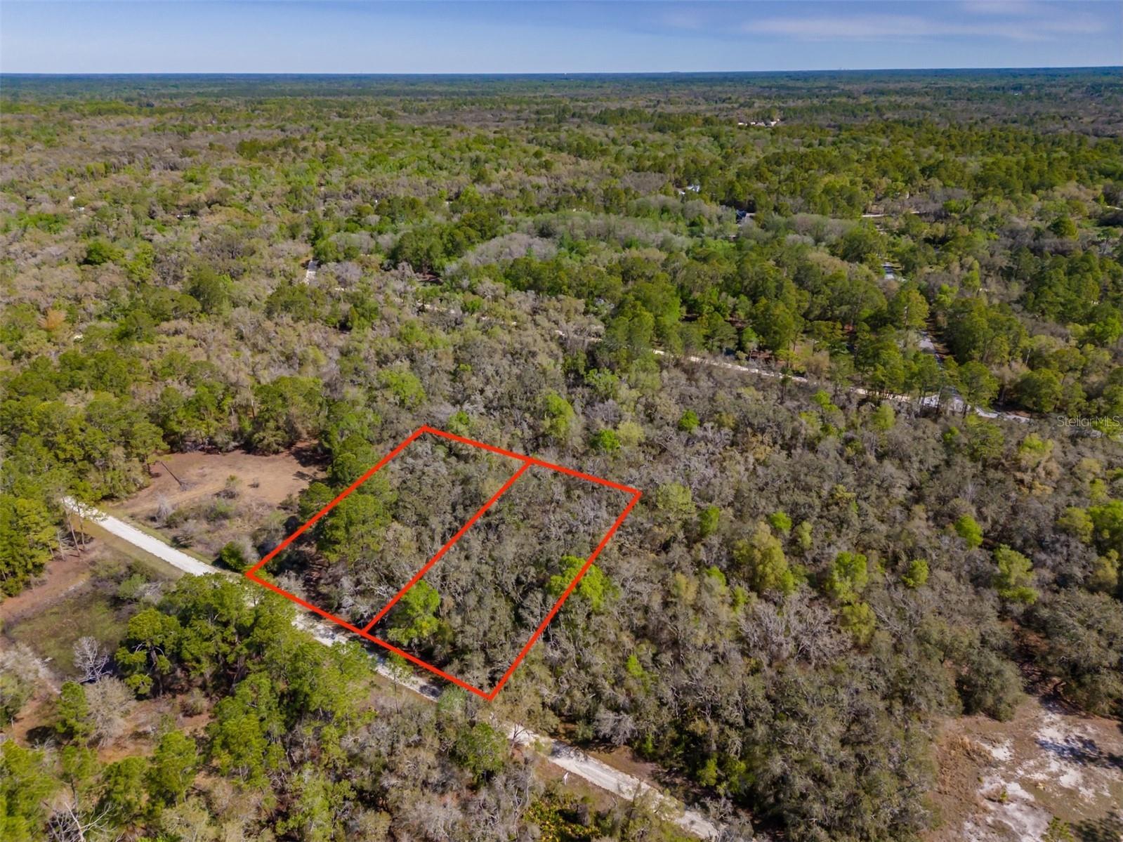 7262 Sonia Avenue Webster FL 33597 TB8487932 image10