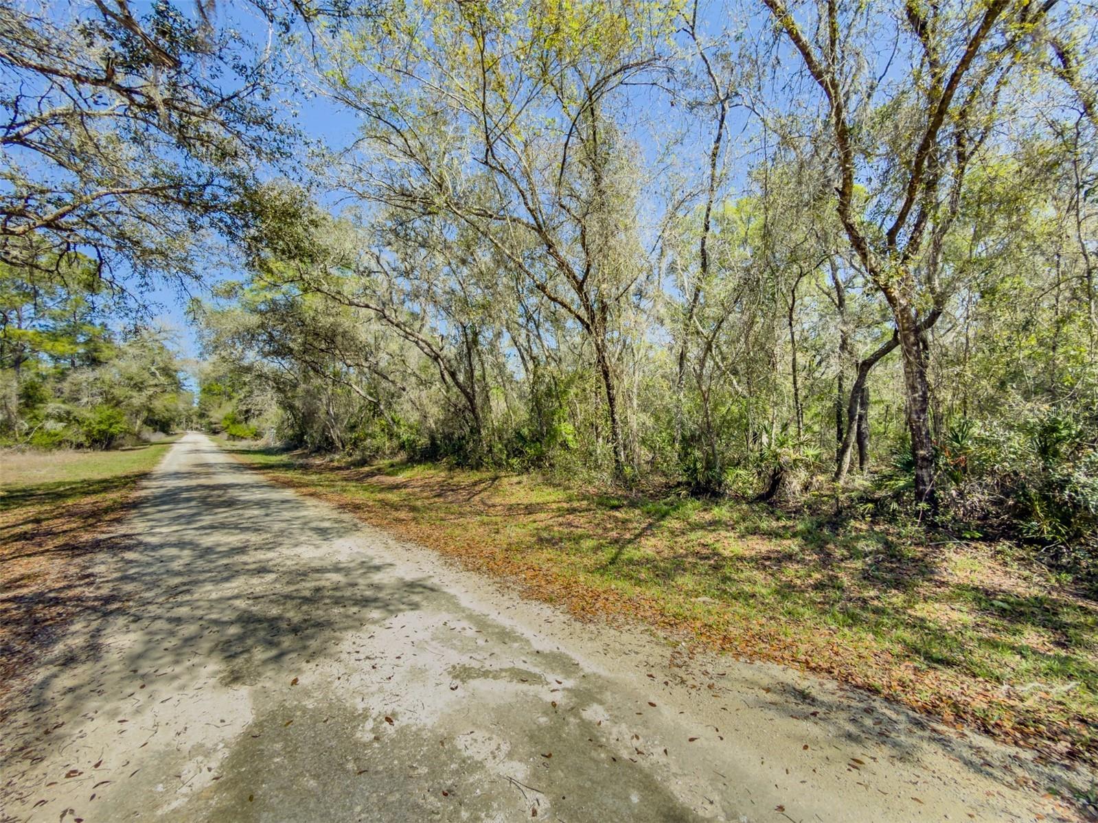 7262 Sonia Avenue Webster FL 33597 TB8487932 image11