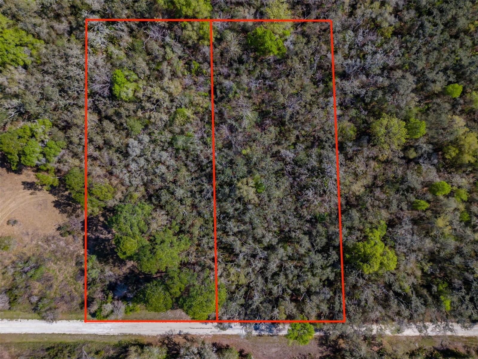 7262 Sonia Avenue Webster FL 33597 TB8487932 image17