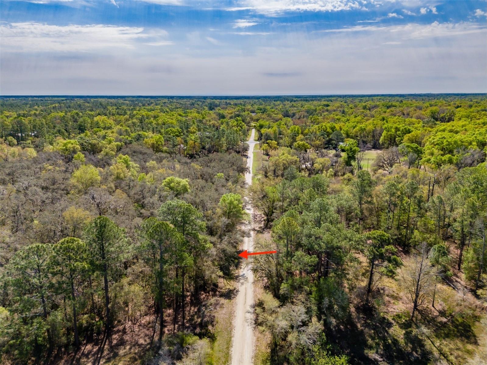 7262 Sonia Avenue Webster FL 33597 TB8487932 image4