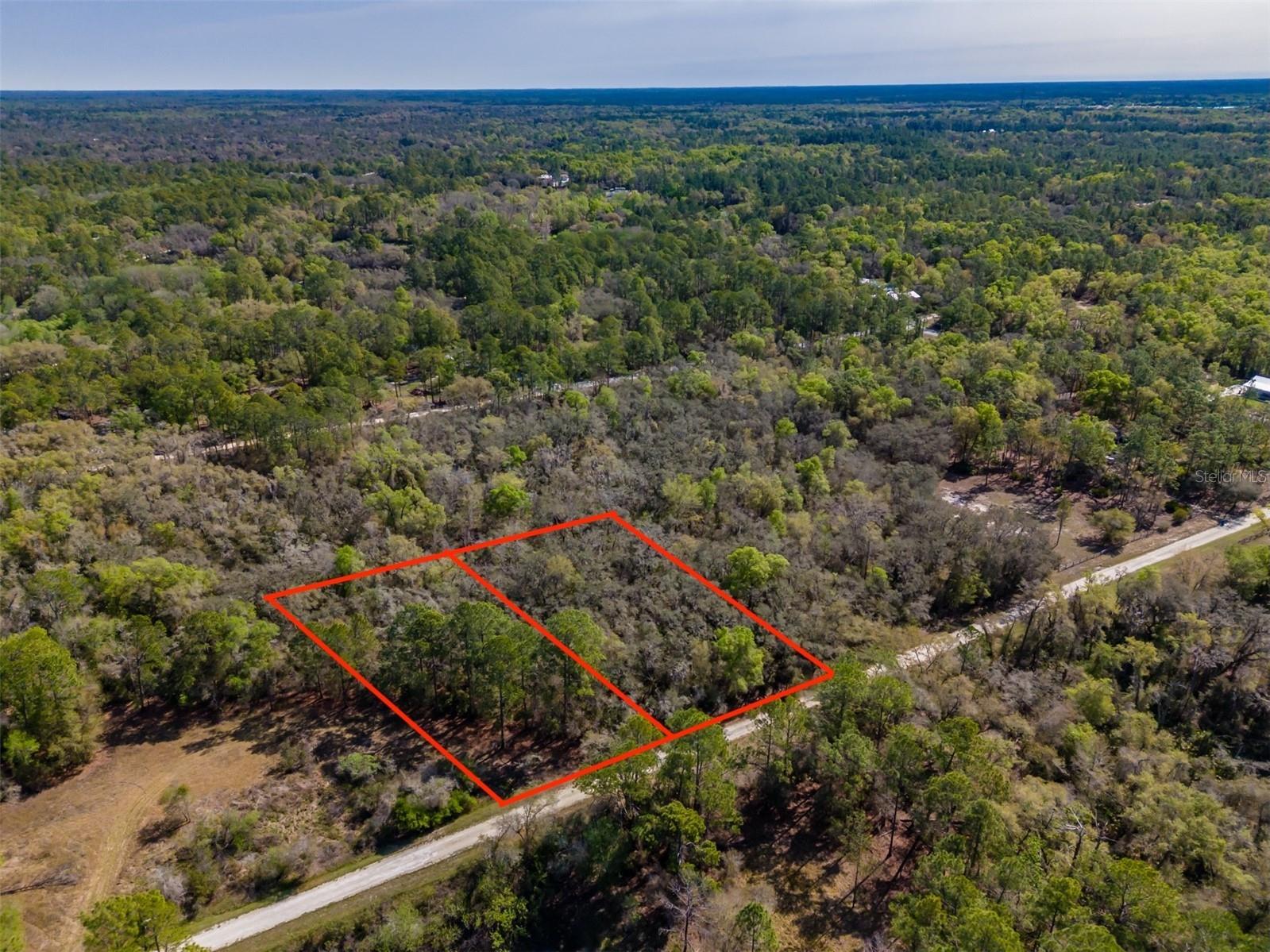 7262 Sonia Avenue Webster FL 33597 TB8487932 image7