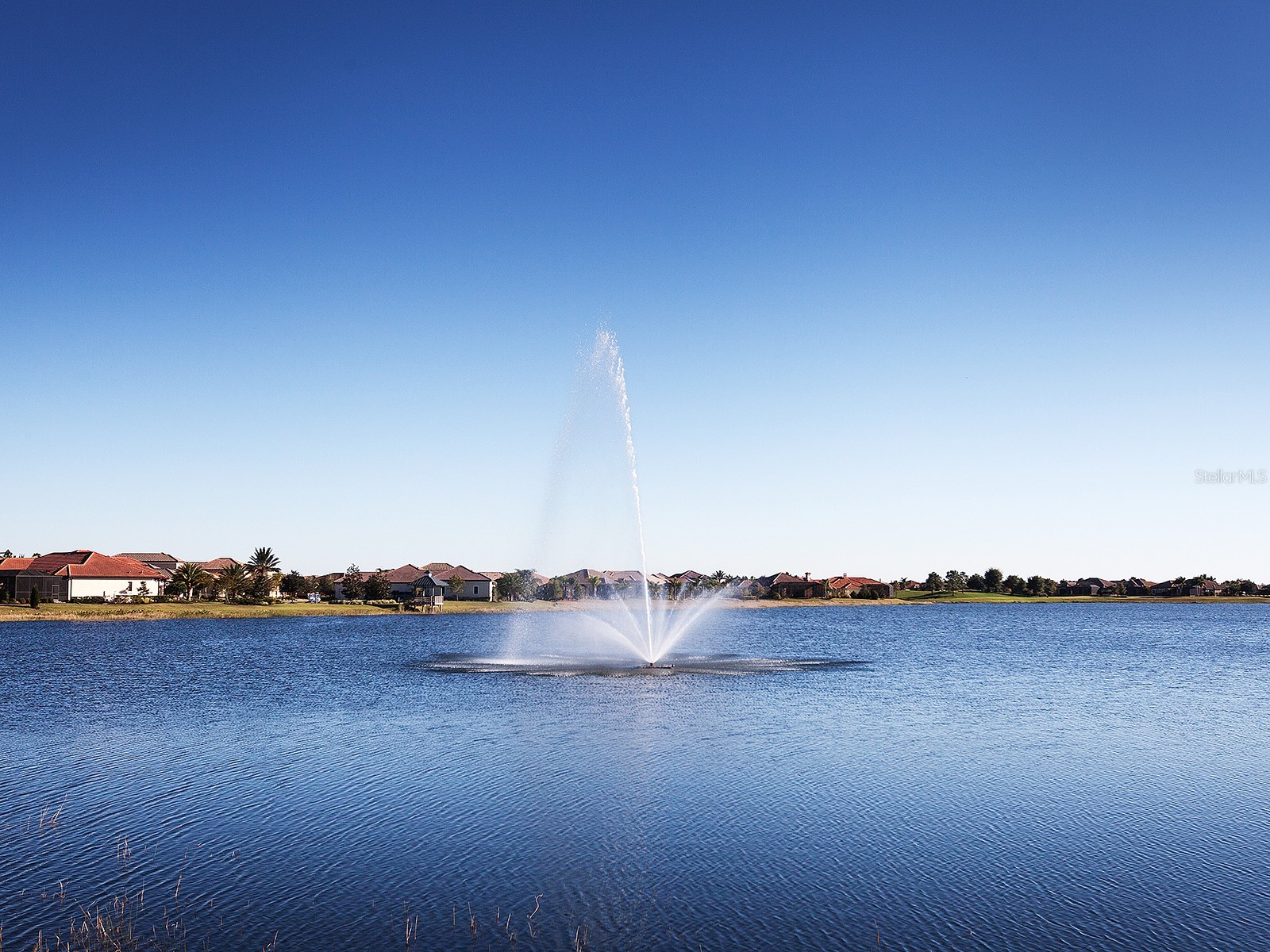 7263 Belleisle Glen Lakewood Ranch FL 34202 A4690053 image77