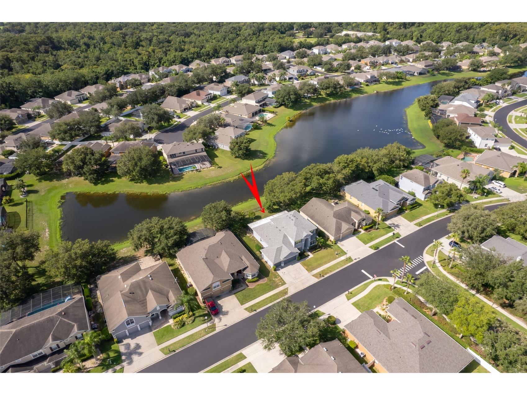 7263 Winding Lake Circle Oviedo FL 32765 O6309620 image9