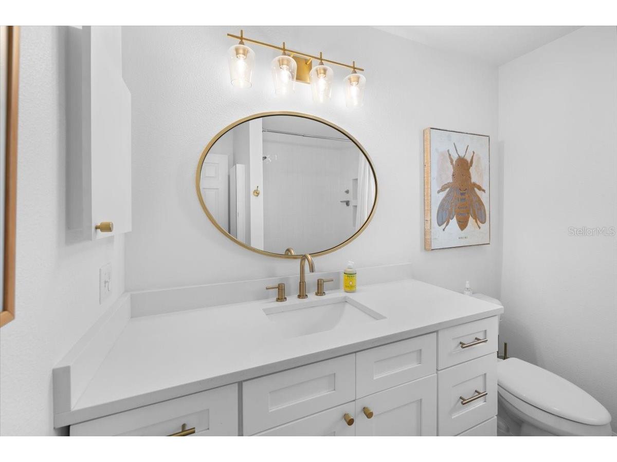 7264 Aberdeen Court Weeki Wachee FL 34607 - WEEKI WACHEE RIVER TB8512787 image24