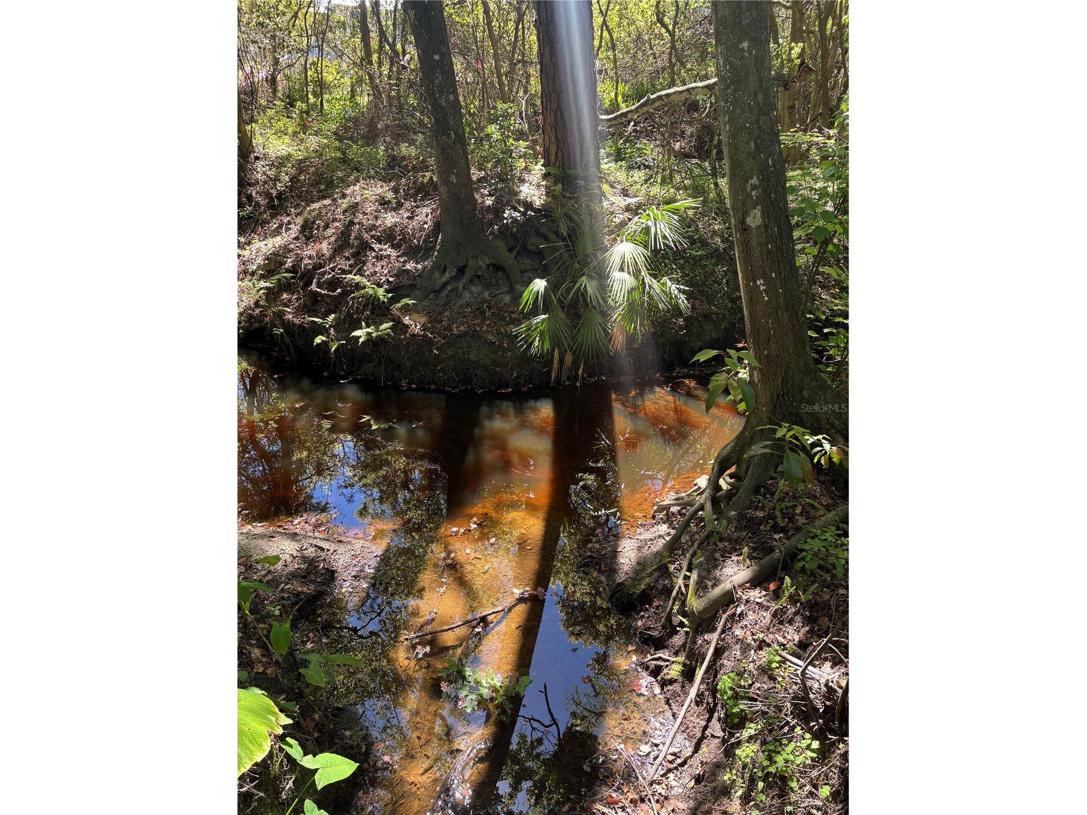 7265 Beach Road Elkton FL 32033 FC308438 image59