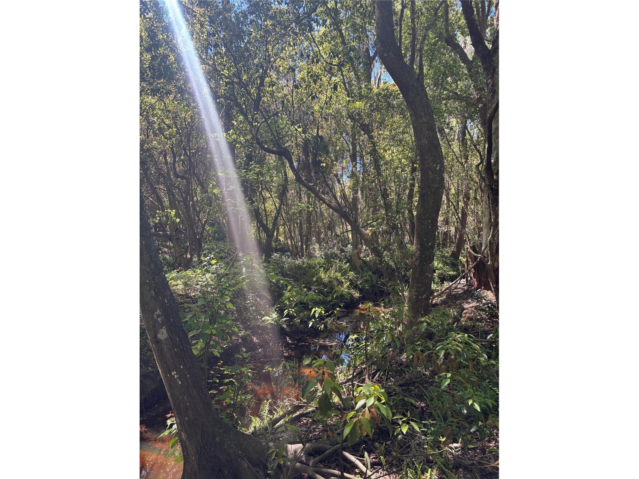 7265 Beach Road Elkton FL 32033 FC308438 image60