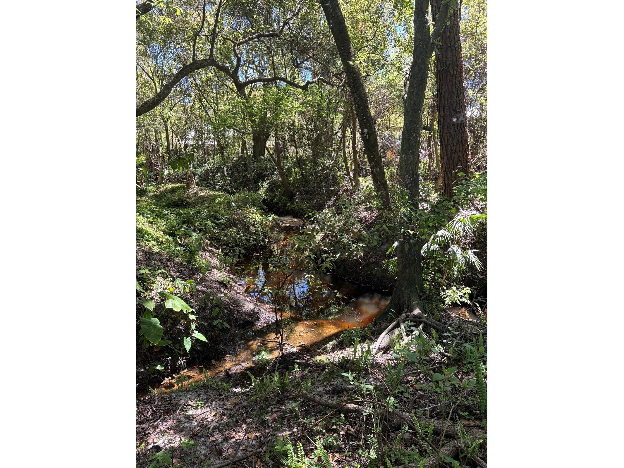 7265 Beach Road Elkton FL 32033 FC308438 image61