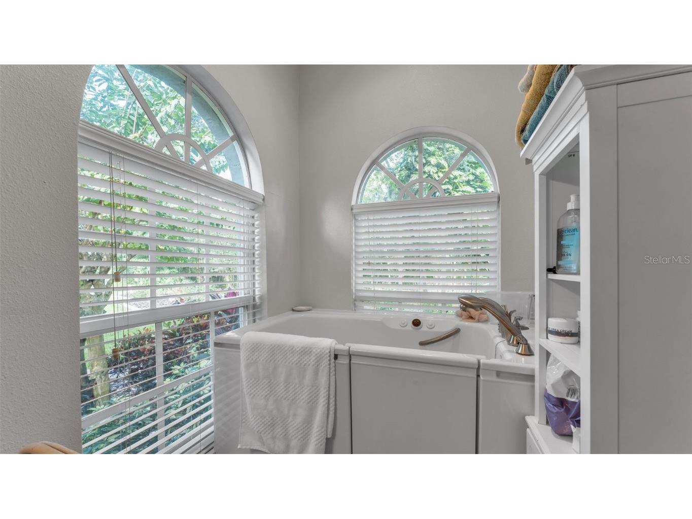 7265 Millbrook Oaks Drive Lakeland FL 33813 L4956126 image27