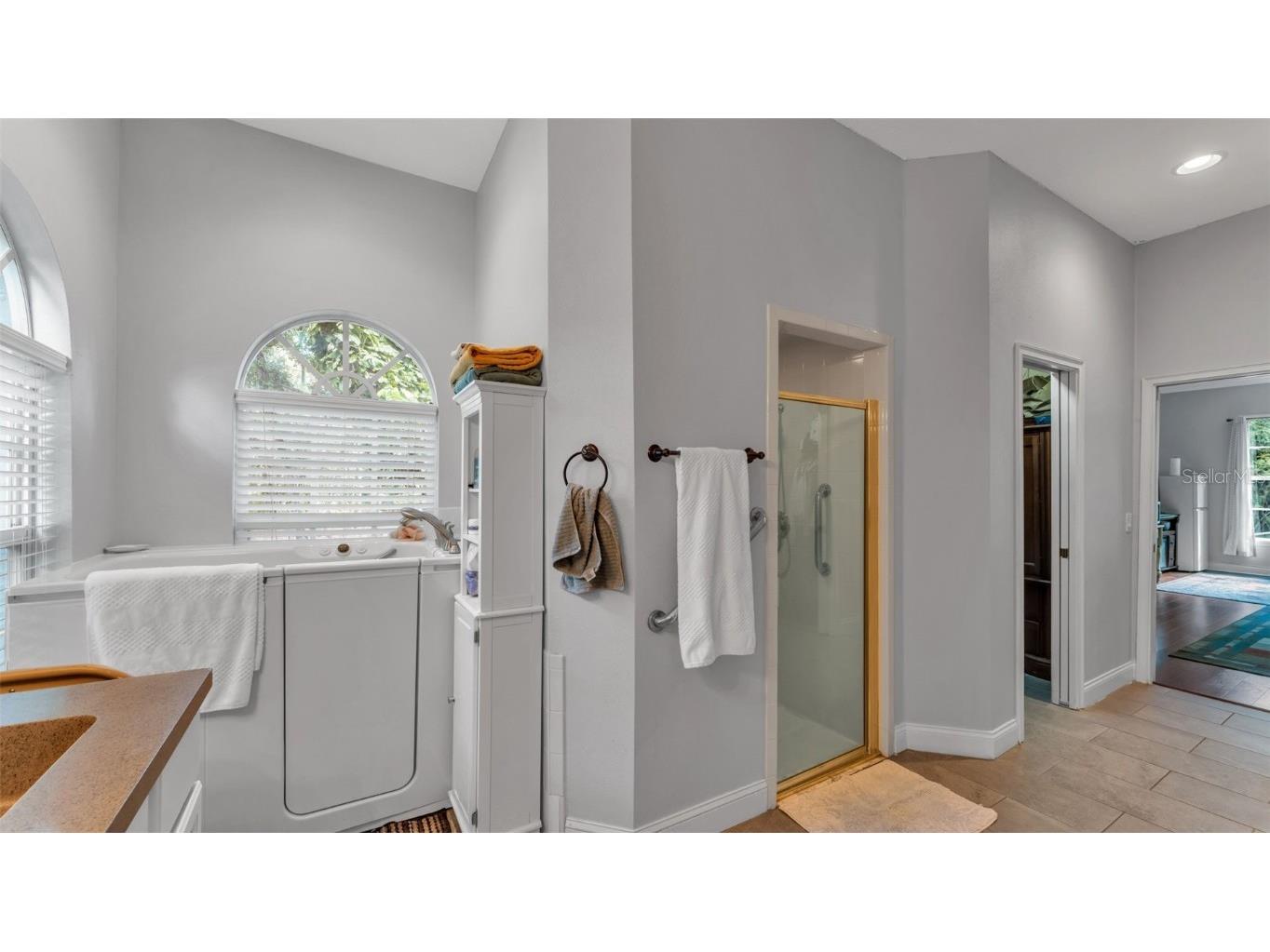 7265 Millbrook Oaks Drive Lakeland FL 33813 L4956126 image28