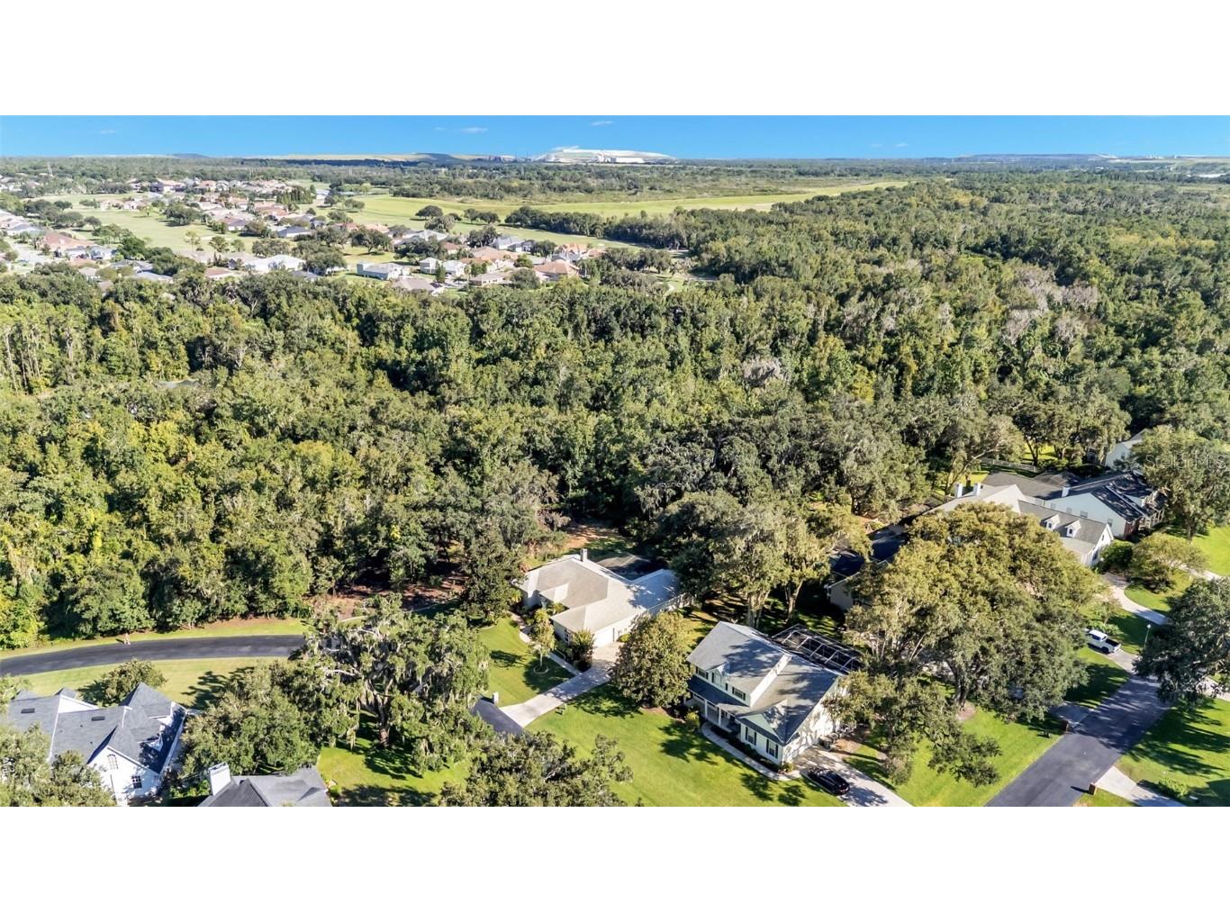 7265 Millbrook Oaks Drive Lakeland FL 33813 L4956126 image62