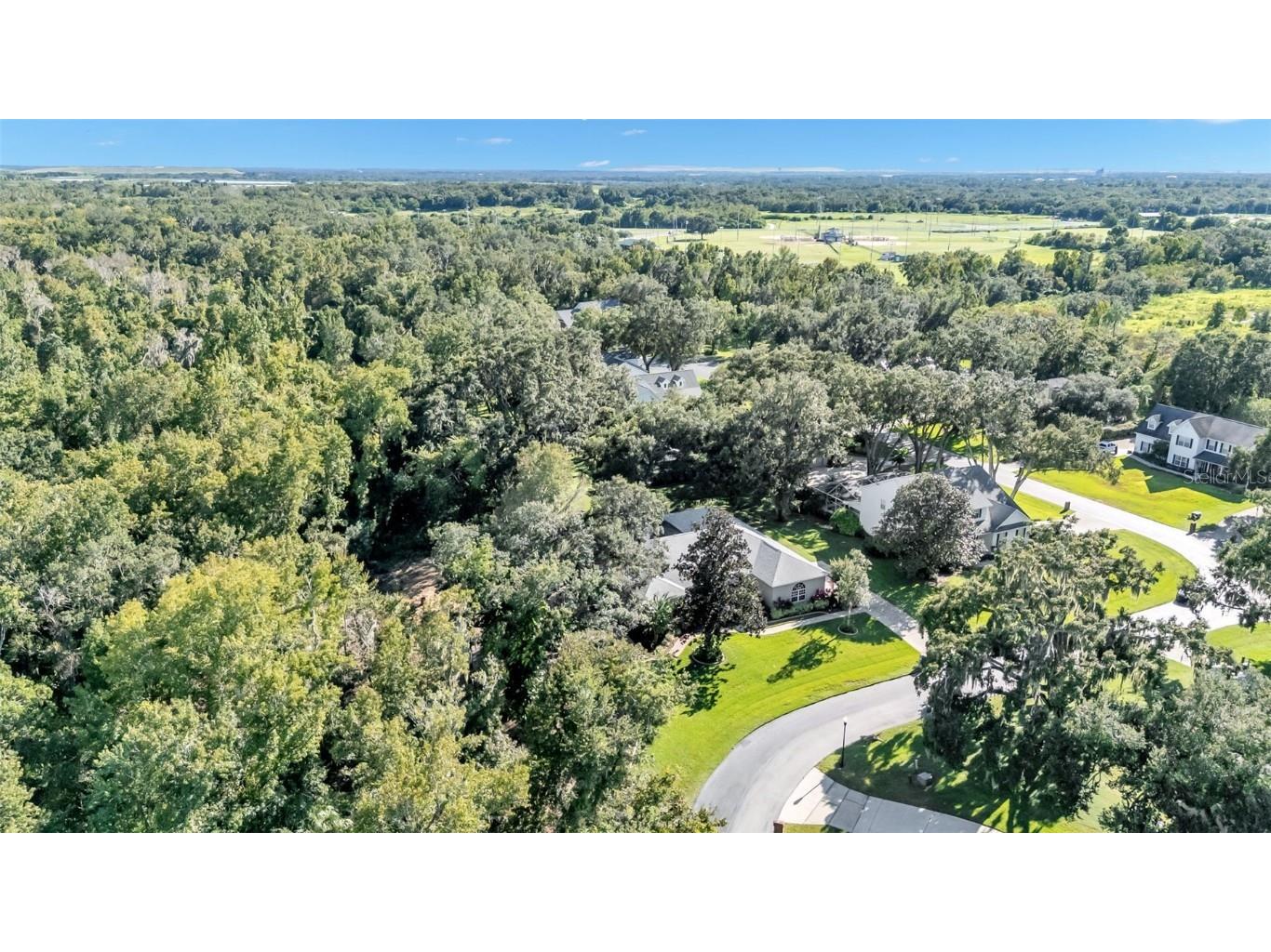 7265 Millbrook Oaks Drive Lakeland FL 33813 L4956126 image66