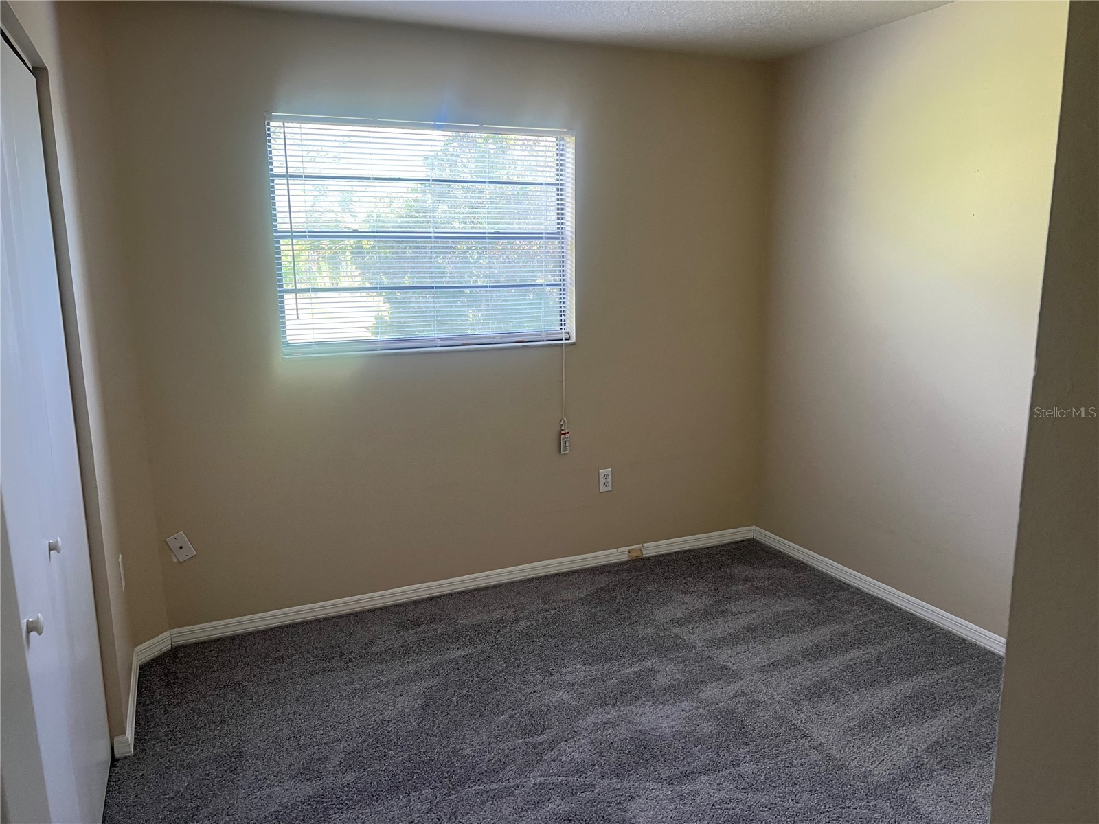 7266 Pond Circle Spring Hill FL 34606 TB8500336 image7