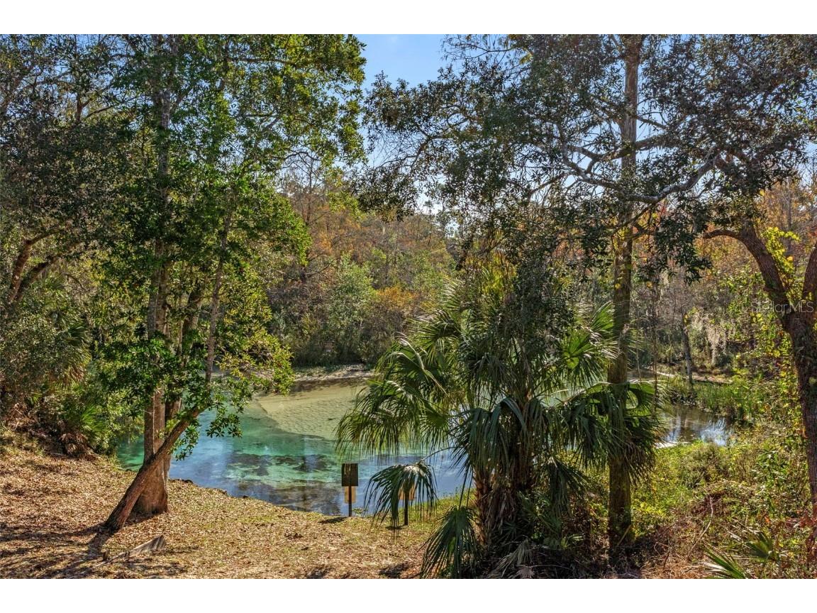 7268 Crystal Spring Run Weeki Wachee FL 34607 W7881287 image95