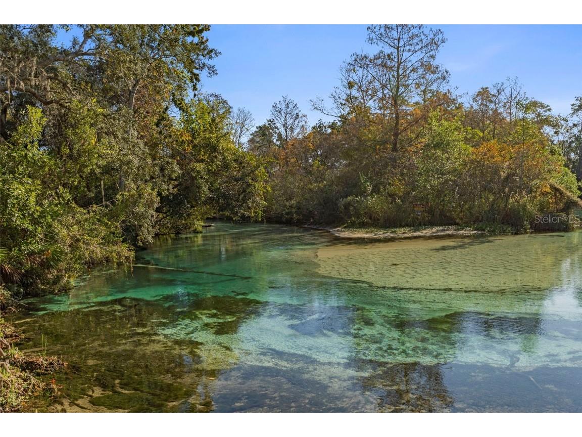 7268 Crystal Spring Run Weeki Wachee FL 34607 W7881287 image98