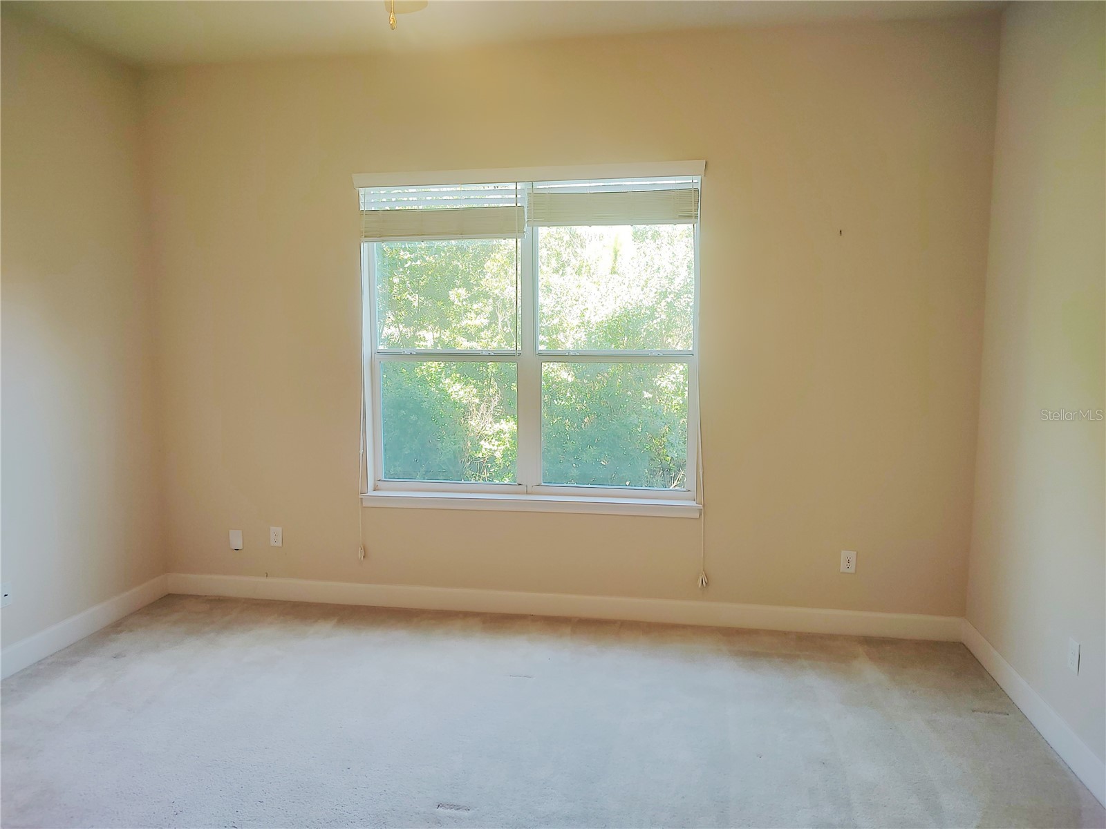727 Aldenham Lane Ormond Beach FL 32174 FC319144 image21