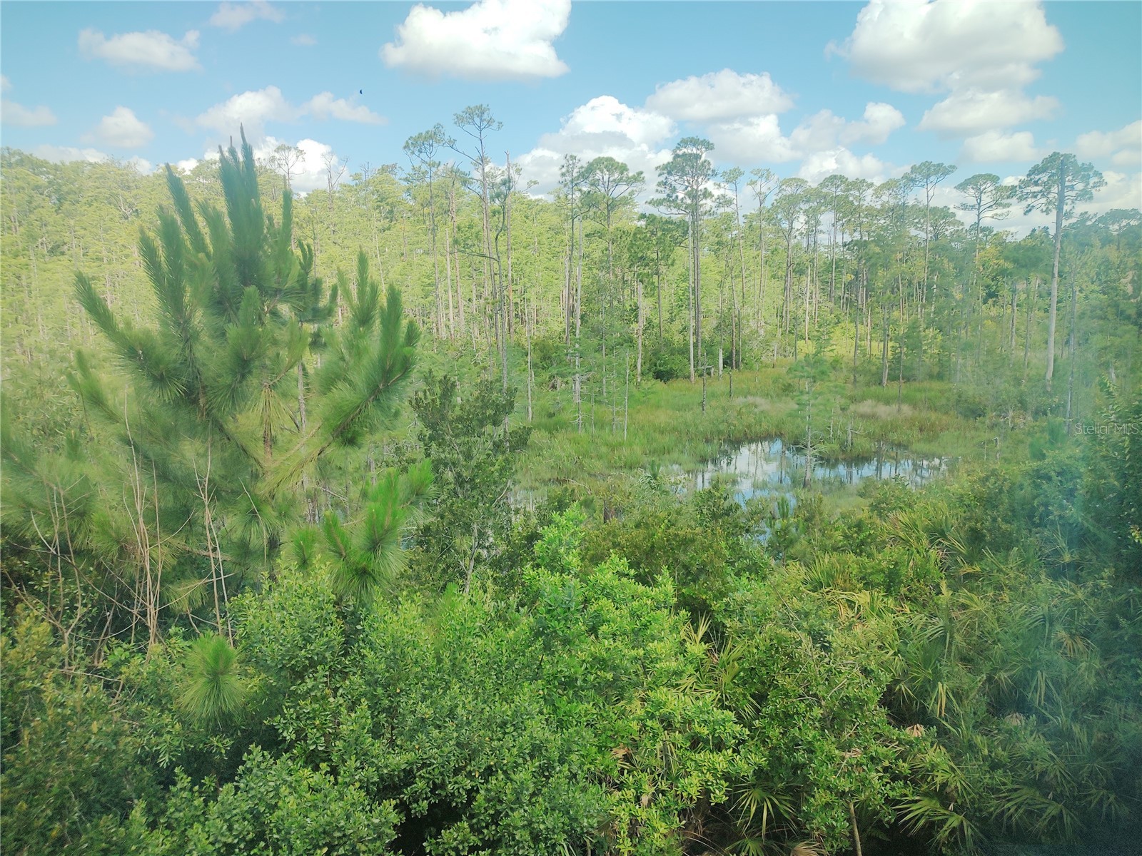 727 Aldenham Lane Ormond Beach FL 32174 FC319144 image28