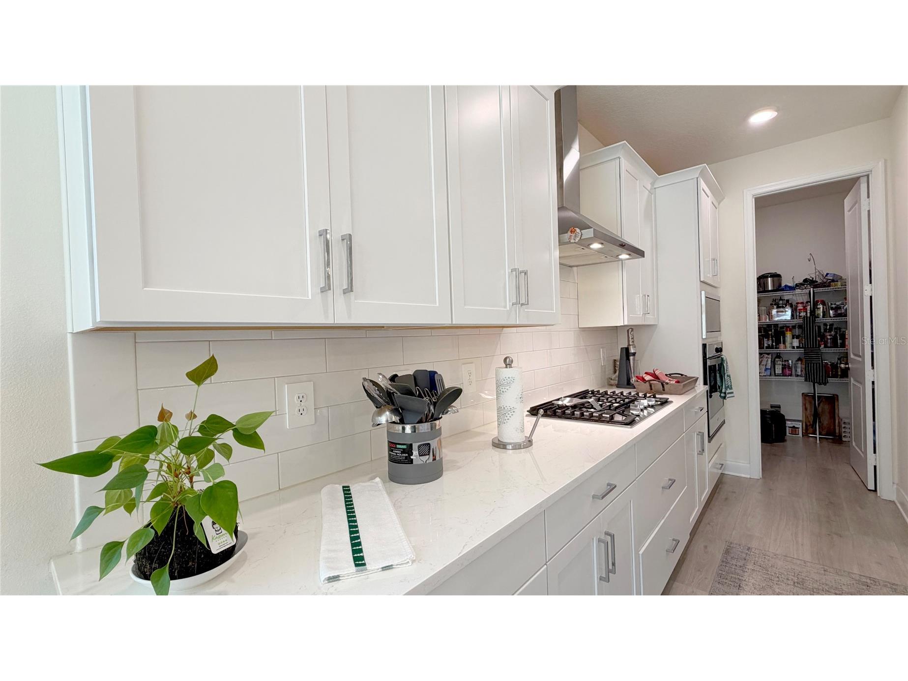 727 Annabell Ridge Road Minneola FL 34715 O6369154 image22