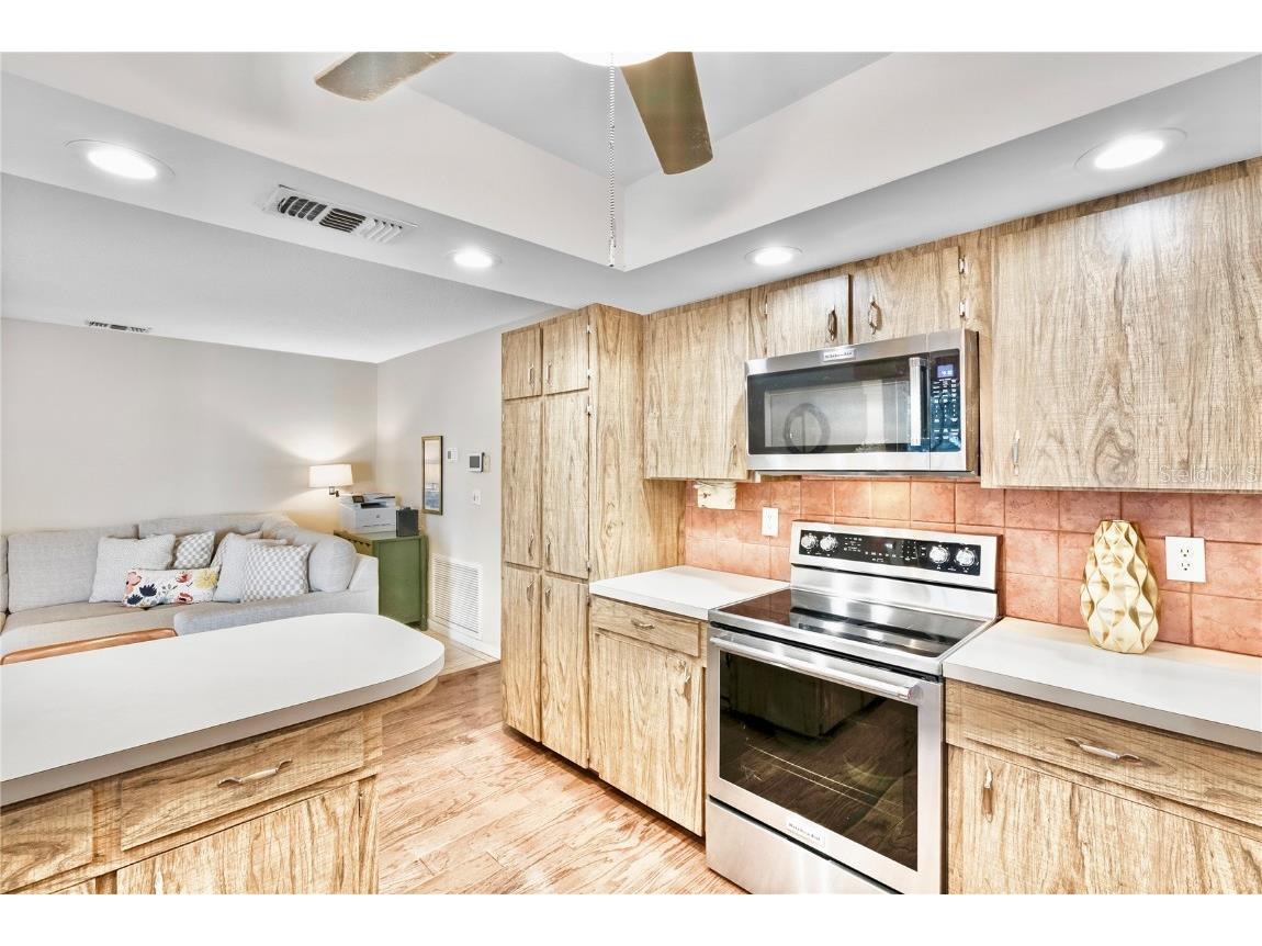 727 Flamingo Drive Apollo Beach FL 33572 TB8428469 image26