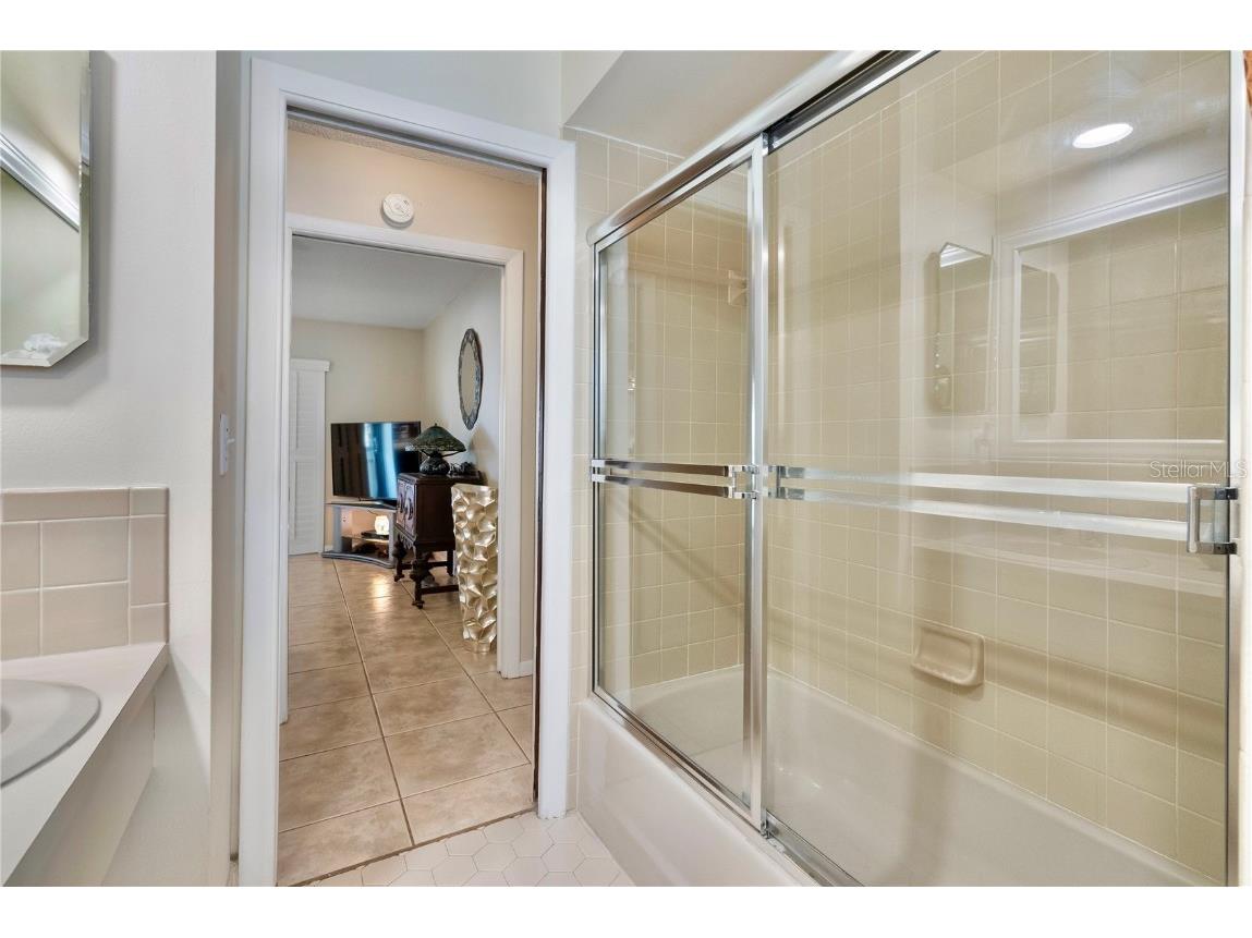 727 Flamingo Drive Apollo Beach FL 33572 TB8428469 image38