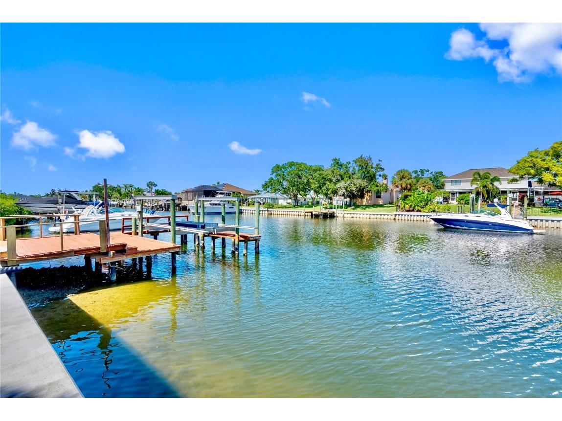 727 Flamingo Drive Apollo Beach FL 33572 TB8428469 image45